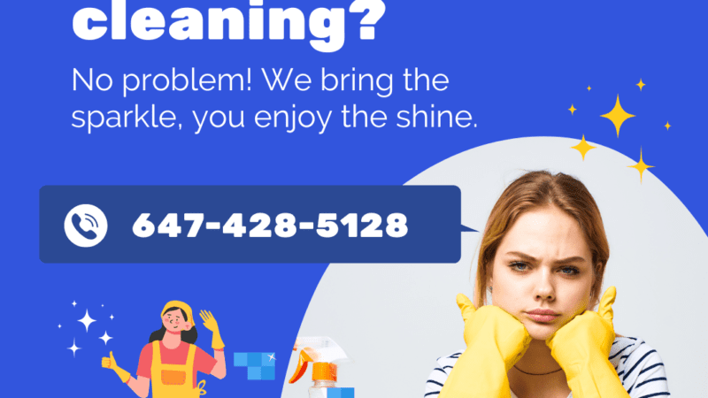expert cleaning services across Canada and the USA-the bright scrub