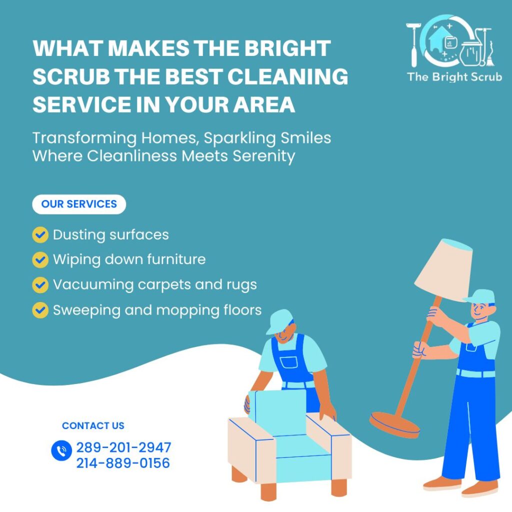 best cleaning service in your area - usa and canada - the bright scrub - car cleaning - carpet cleaning - house cleaning in usa