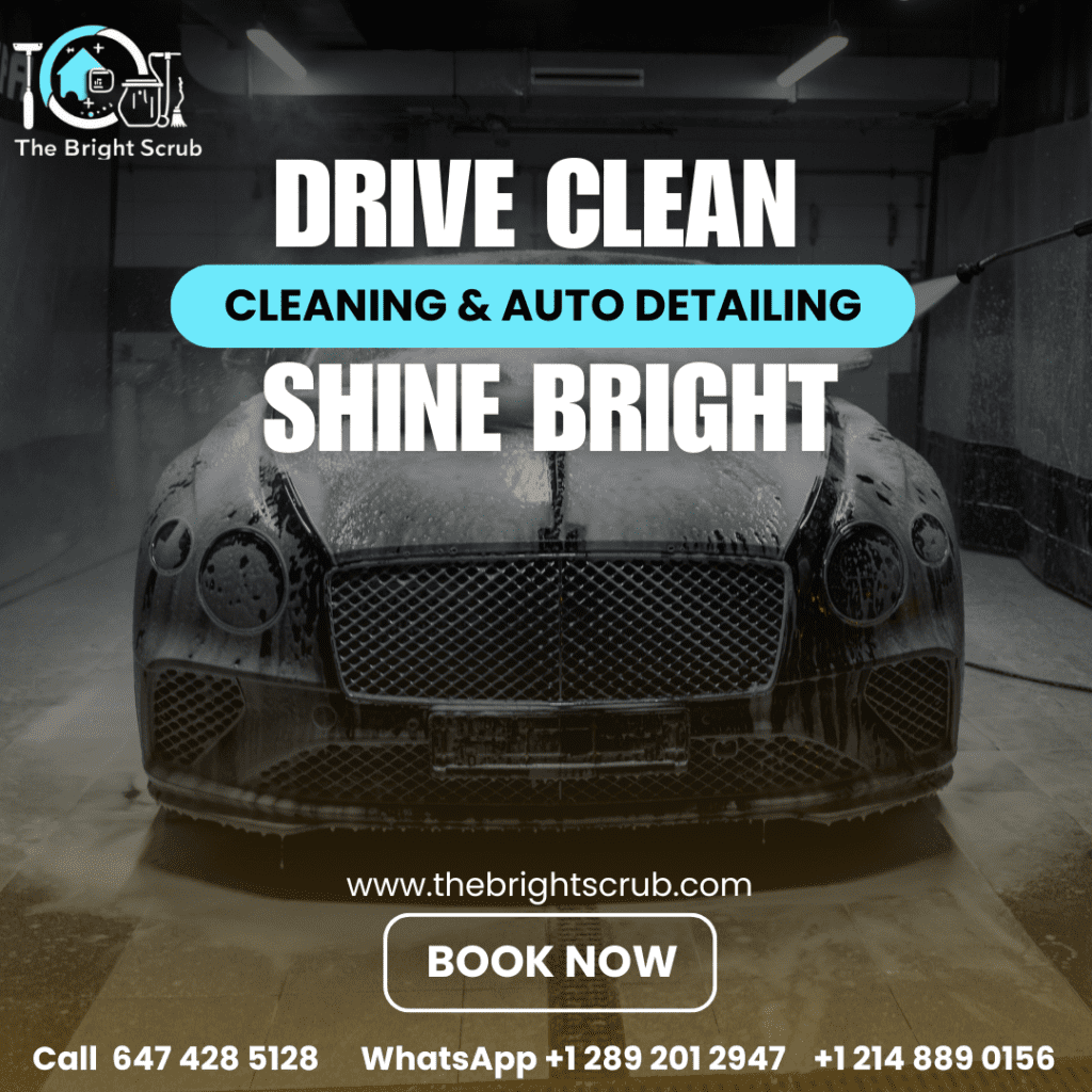 Car Cleaning, Professional Car Detailing -Ontario Car Cleaning - Winter Car Maintenance in usa and canada